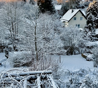 winter garden resize